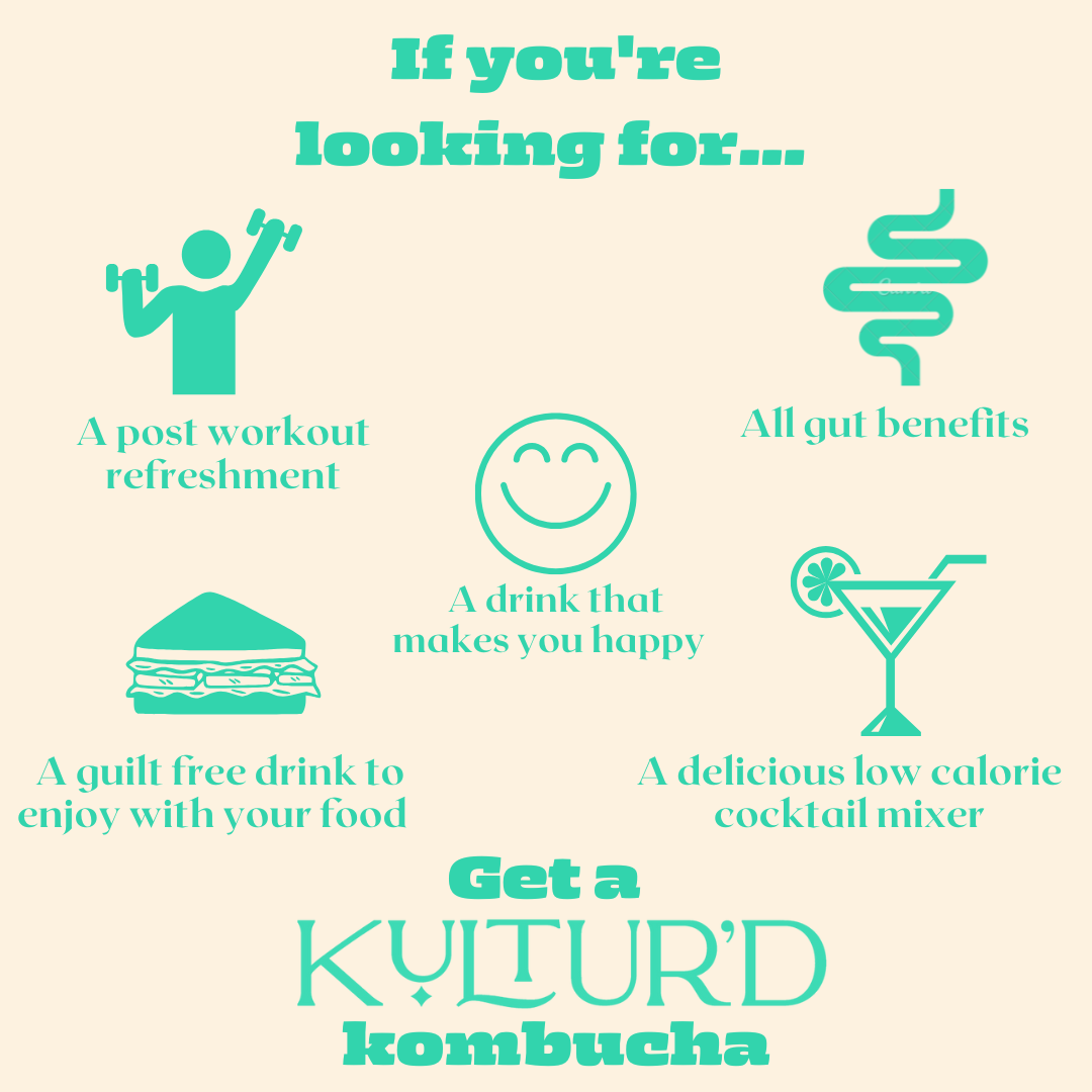 New launch!!  Mango Coconut Kombucha | Zero Added Sugar | Pack of 4 - Image 3